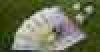 a  :      