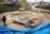  ͳ   