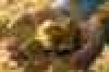    \' 13-:   ,   ,  \'  