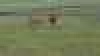 ³:           :  