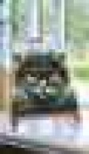   ,    —   