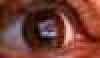 -oeao YouTube    