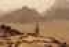    ,    :  NASA    