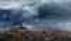   2019: \'  7,5-    
