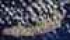    150-   ,    \' : 