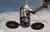   Cygnus   